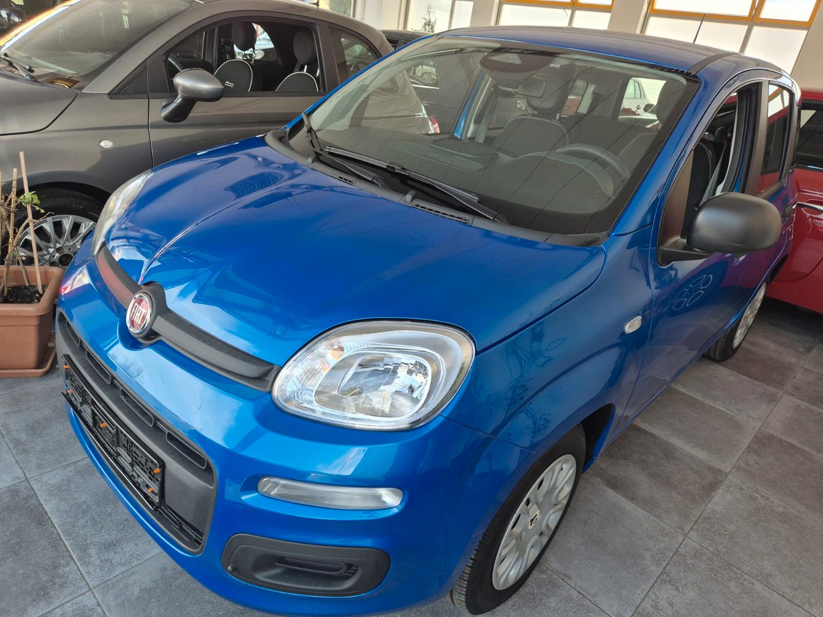 Fiat Panda Pandina Icon blau