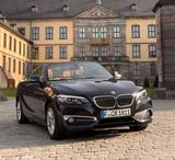 BMW 220i Cabrio Luxury Leder LED TÜV/Service neu