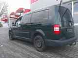 Volkswagen Caddy Maxi Roncalli 7 Sitzer - Volkswagen Caddy Maxi: Roncalli