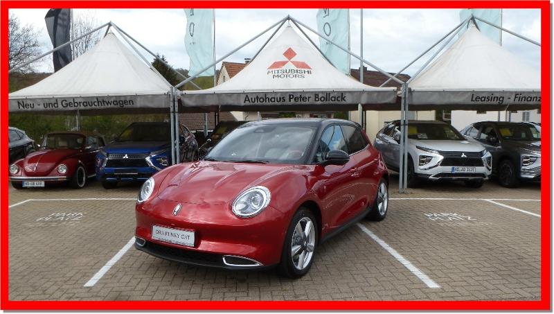 GWM ORA 03 400 PRO Plus ab 249.-/Monat