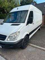 Mercedes-Benz Mercedes benz Sprinter maxi 313cdi/Tüv neu - Mercedes-Benz Sprinter: 313 Cdi Maxi