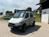Mercedes-Benz Mercedes Sprinter ALLRAD - Mercedes-Benz Sprinter aus 2003: Van