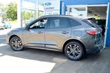 Ford Kuga 1,5 ST-Line X Navi+Sync Techno+Assist-Pack - Ford Kuga in Braunschweig