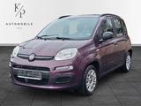 Fiat Panda Pop *KLIMA* - gebrauchte Fiat Panda aus dem Jahr 2014