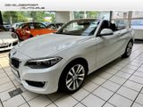 BMW 218 i Advantage Cabrio 2.Hand AHK-abnehmbar Klim - BMW 218 aus 2016