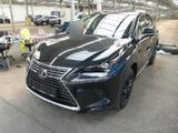 Lexus NX 300 h Navi | CarPlay | LED | LM 17" | Kamera - Lexus aus 2021