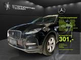 Jaguar E-Pace D200 +Memory+KAMERA+Ambiente+AUT+LED+PDC - Jaguar E-Pace aus 2022