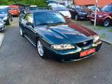 Ford Mustang GT Cabrio 5.0*LEDER*KLIMA*ALU* - Ford Mustang aus 1995