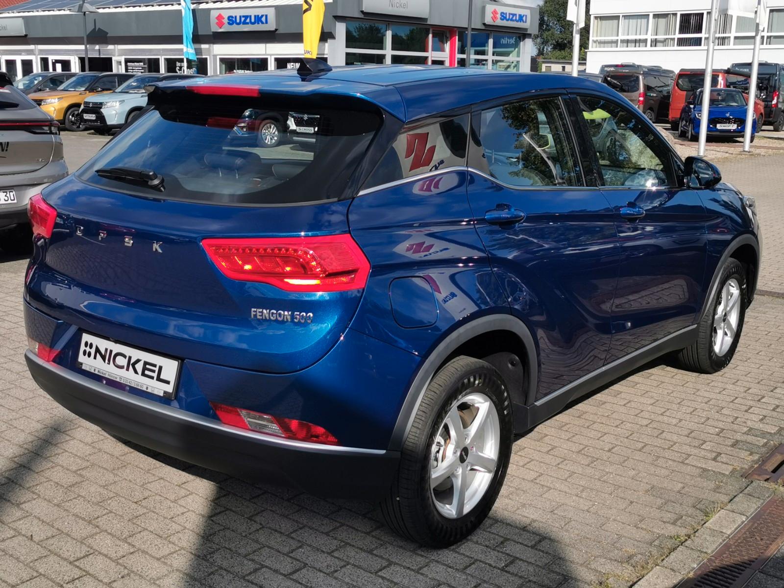 DFSK Fengon 500 CVT Konserviert