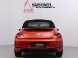 Volkswagen Beetle Cabriolet Club 2.0TDI*NAVI*SHZ*TEMP* - Volkswagen Beetle: TDI