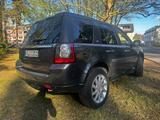 Land Rover Freelander TD4 2.2 Station Wagon  - gebrauchte Land Rover Freelander aus dem Jahr 2011