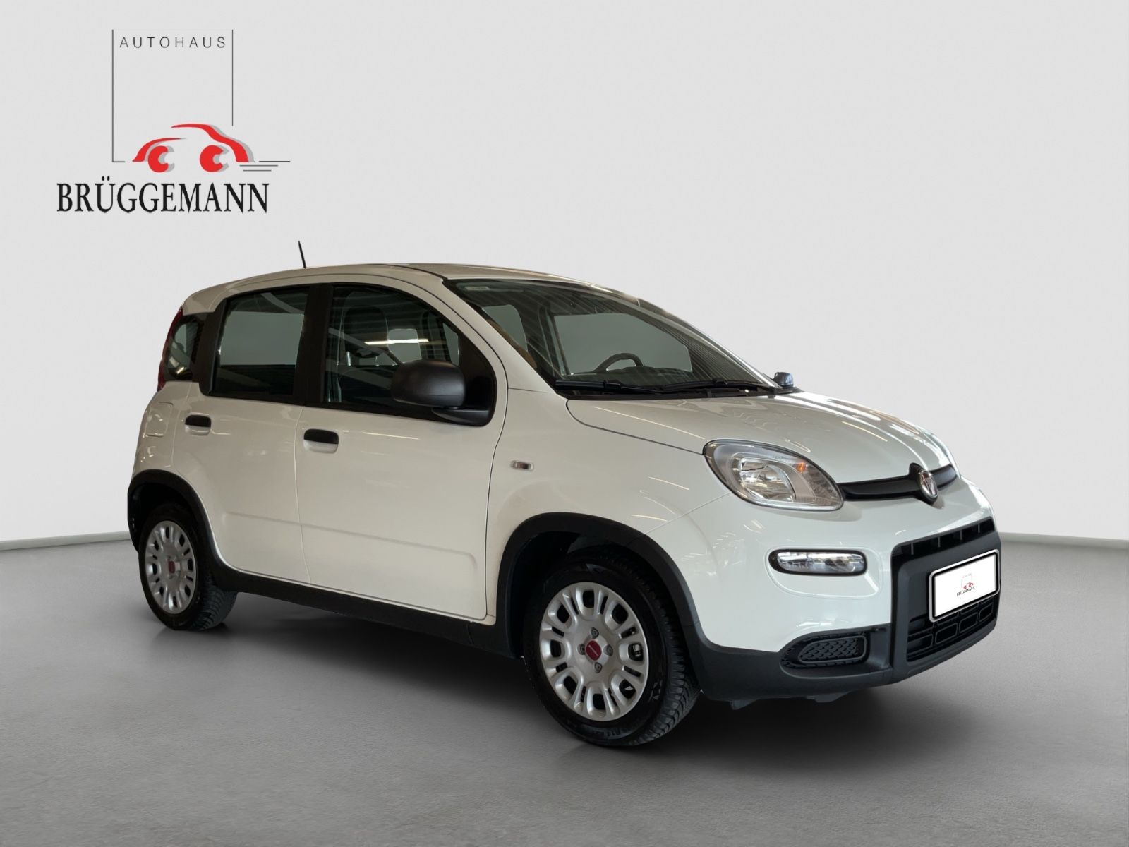 Fahrzeugabbildung Fiat Panda 1.0 GSE Hybrid + Komfortpaket