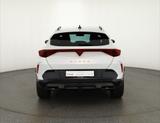 Cupra Formentor 1.5 TSI DSG LED ACC Kamera - Cupra Formentor Gebrauchtwagen