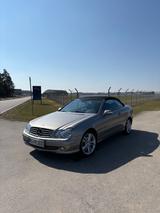 Mercedes-Benz CLK 320 AVANTGARDE Avantgarde - gebrauchte Mercedes-Benz CLK-Klasse aus dem Jahr 2004