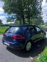 Volkswagen Golf 7 1.6 TDI wenig KM, PDC, AHK, TÜV 09/27 - Volkswagen Golf: 7 TDI