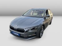 Skoda Octavia - Vorschau Bild 2