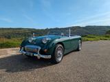 Austin Healey Sprite MK1 (Winterpreis) - Austin Healey Gebrauchtwagen