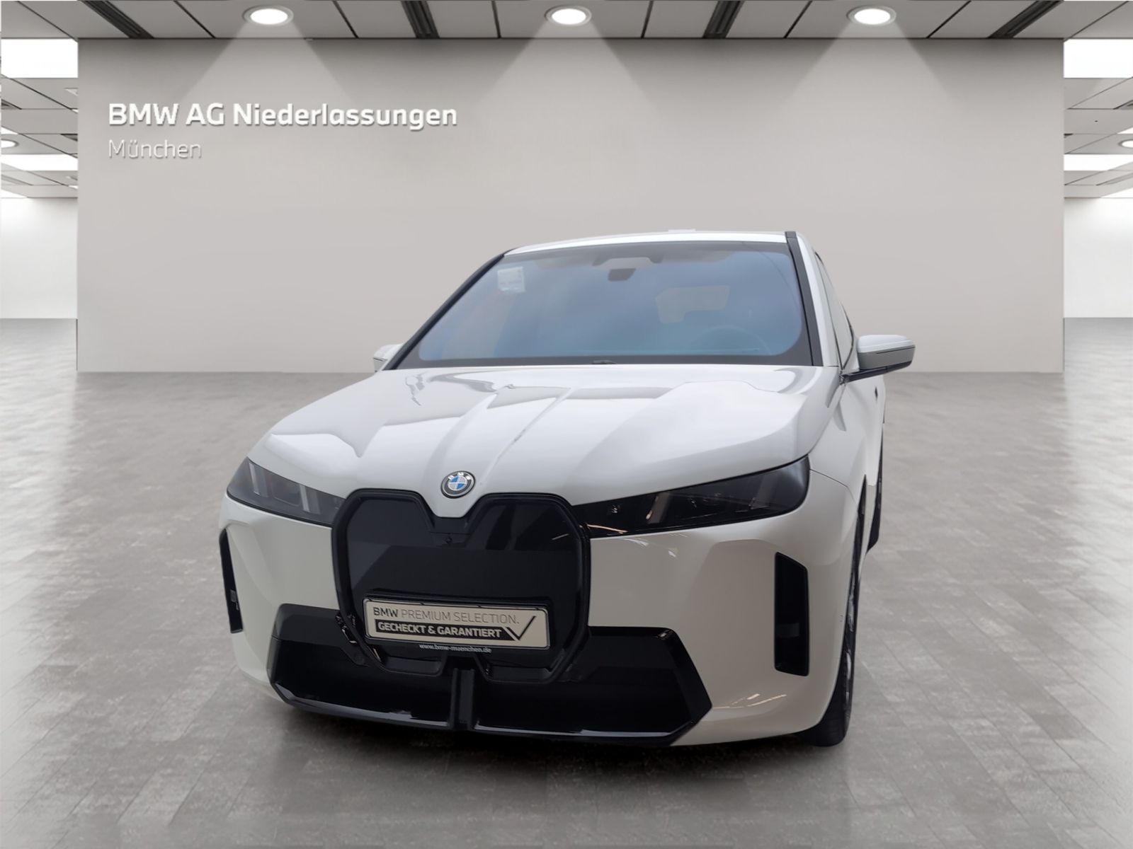 BMW iX - Bild 4