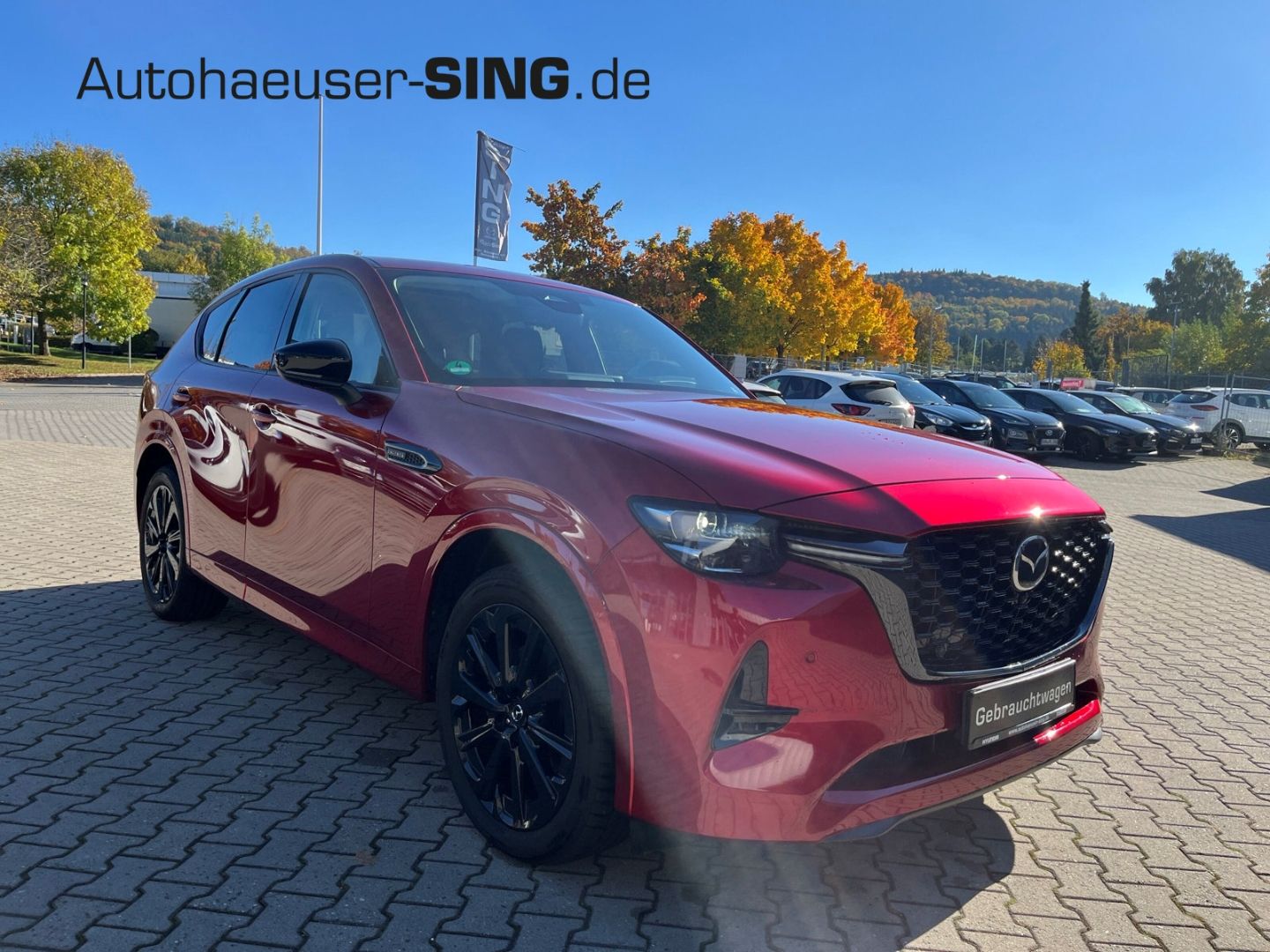 Mazda CX-60 - Bild 7