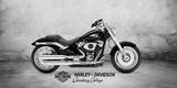 Harley-Davidson FAT BOY 117 MODELL 2025 SOFORT VERFÜGBAR - HARLEY-DAVIDSON FAT BOY 117