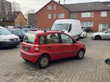 Fiat Panda 1.2 8V Dynamic - : Fiat 2003