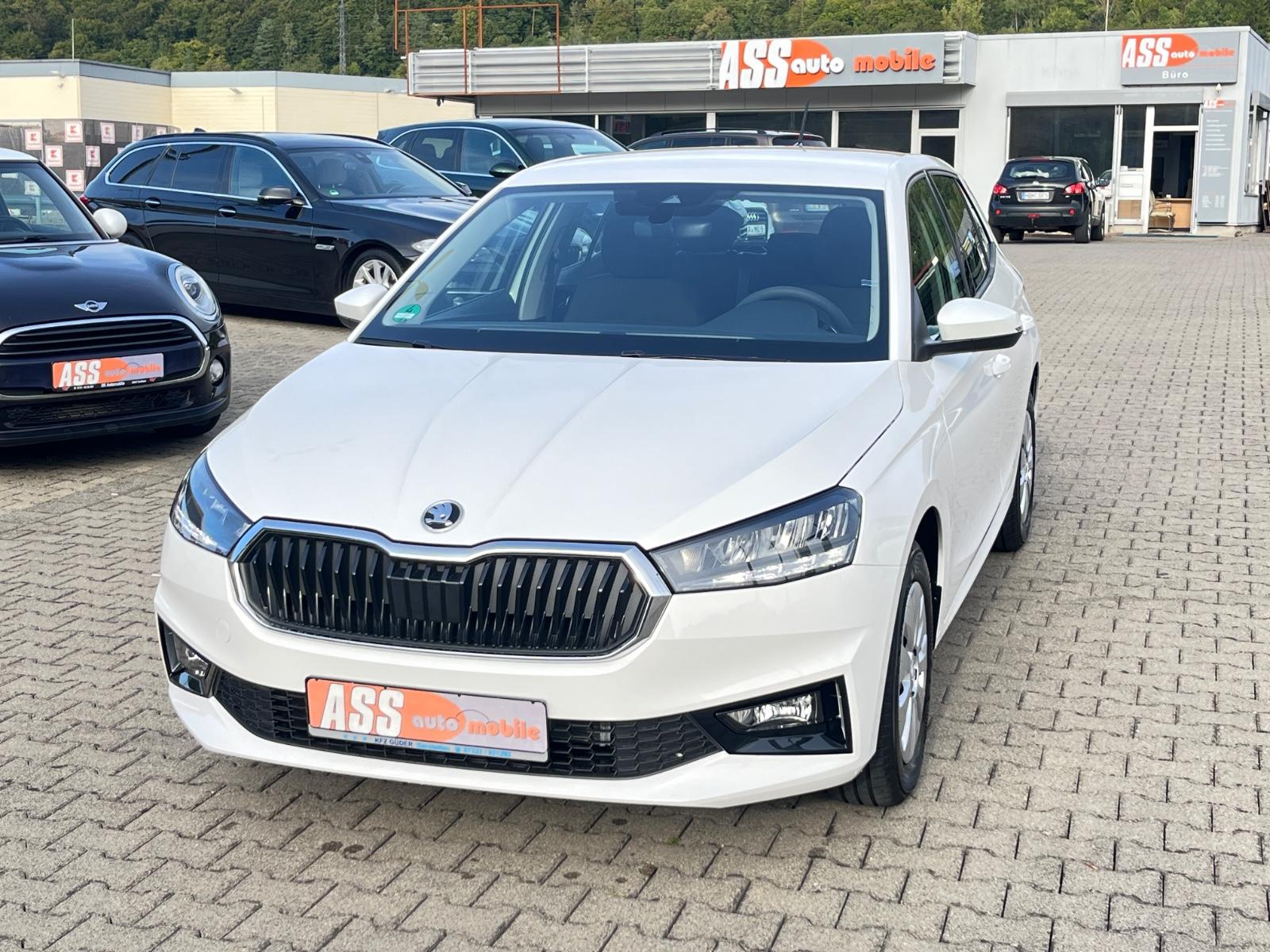 Skoda Fabia Essence/PDC/VirtualC/DEUTSCH/SOFORT-verf.