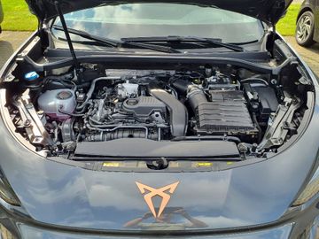 Bild 13 Cupra Terramar 1.5 eTSI - AHK,TOPVIEW,EDGE,DYNAMIC