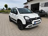 Fiat Panda 1.2 CityCross WAZE, AHK, Zahnriemen neu  - Fiat Panda: Waze