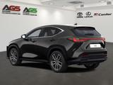 Lexus NX 450h+ E-Four Luxury + Panorama Mark Levinson - graue Lexus NX 450h