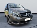 Mercedes-Benz 220 V 220/250 CDI/BT/d AVANTGARDE EDITION lang - Mercedes 8-Sitzer