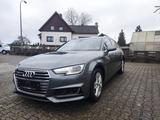 Audi A4 2.0 TDI 140kW S tronic quatttro Ava - Standhz - Audi A4: TDI 140