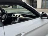 Ford Mustang 5.0 V8 Black Shadow Edition Grail - Ford Mustang Black Gebrauchtwagen