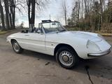 Alfa Romeo Spider Duetto Rundheck 1967 - Alfa Romeo Spider: Rundheck