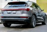 Cupra AUDI E-tron 55 mit Panoramaglasdach  - Cupra Born mit Schiebedach