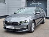 Skoda Octavia 2.0 TDI DPF Selection - Skoda Octavia: 2.0