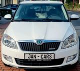 Skoda Fabia Combi Greenline Klima Alufelgen WKR - Skoda Fabia: Alufelgen