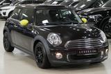 MINI One Salt BRICK LANE PANORAMADACH - MINI MINI: Braun
