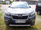 Subaru Forester Platinum - gebrauchte Subaru Forester aus dem Jahr 2020