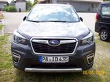 Subaru Forester Platinum - Subaru Forester aus 2020