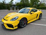 Porsche Cayman GT4 Schale Schalter Approved Service neu 