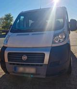 Fiat Ducato 250 L Camper Van - Fiat Ducato: 250l