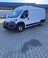 Fiat Ducato 2.3 Maxi neue Motor mit Garantie - Fiat Ducato: Garantie