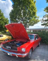 Ford Mustang - Ford Mustang mit Benzin-Antrieb: Limousine