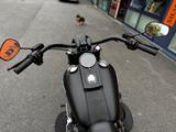 Harley-Davidson FAT BOY S*S SERIES*110TC*FLSTFBS* - HARLEY-DAVIDSON MÜNSTER
