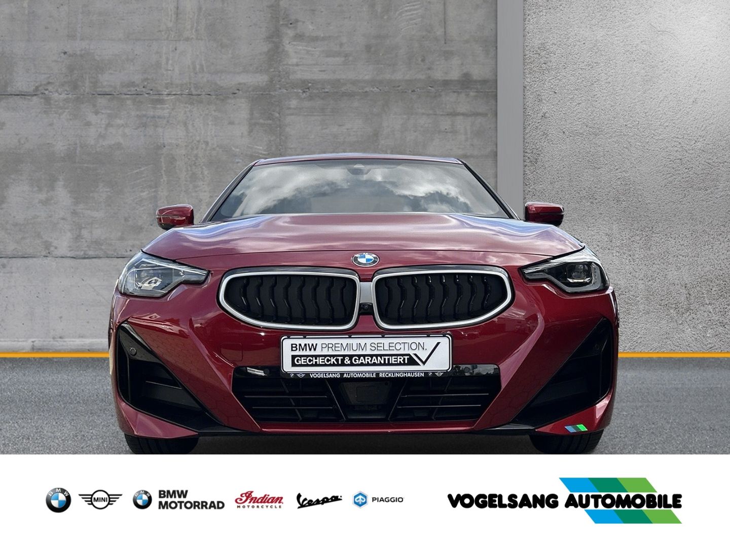 BMW 220 iA Coupe M Sport AHK Rückfahrk. DrivingAssis foto 5