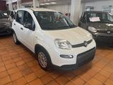 Fiat Panda 1.0 GSE Hybrid - Fiat Panda Gebrauchtwagen in Bremen