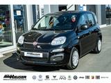 Fiat Pandina ICON Hybrid 1.0 GSE TEMPOMAT PDC LANE KL - schwarze Fiat New Panda