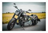 Harley-Davidson FAT BOY (FLSTF) Komplettumbau, Einzelstück - HARLEY-DAVIDSON 2009 FAT BOY