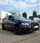 Audi SQ5 3.0 TDI tiptronic quattro - - Audi SQ5 Gebrauchtwagen in Köln