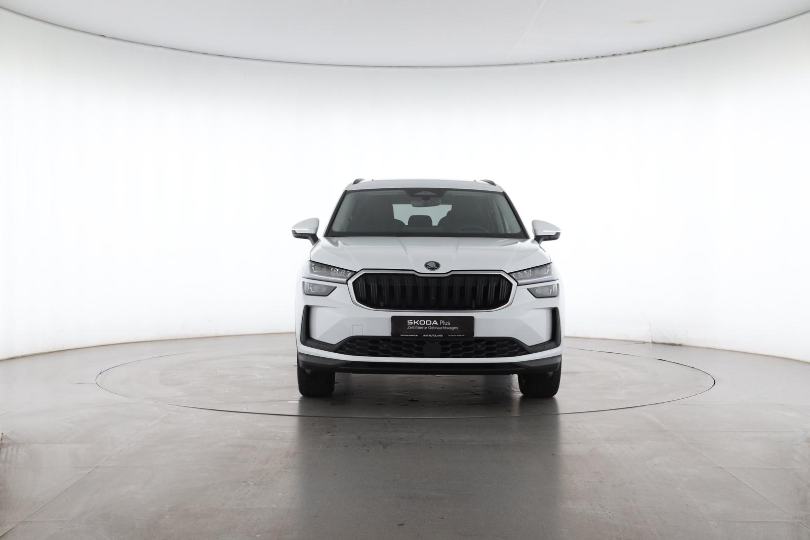 Skoda KODIAQ 2.0 TDI DSG 4x4 Selection | PANO | AHK |